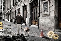 Architecture & Design: bad food, bad dog advertisement