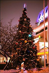 Architecture & Design: Christmas tree, Moscow, Russia