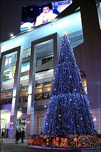 Architecture & Design: Christmas tree, Moscow, Russia