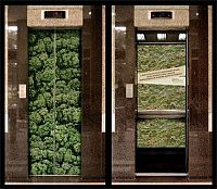 TopRq.com search results: Creative elevators