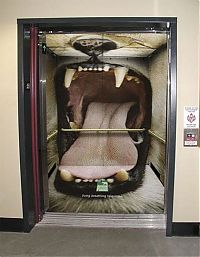 TopRq.com search results: Creative elevators