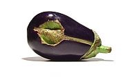 TopRq.com search results: Mutants vegetable from Uli Westphal