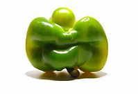 TopRq.com search results: Mutants vegetable from Uli Westphal