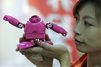 Architecture & Design: Today's robots, Japan