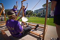 Architecture & Design: apple office & team building