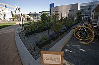 TopRq.com search results: apple office & team building