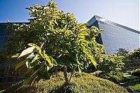 TopRq.com search results: apple office & team building