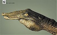 Architecture & Design: Greenpeace ads