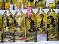 TopRq.com search results: serpent wine