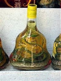 TopRq.com search results: serpent wine