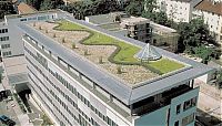 Architecture & Design: green roofs