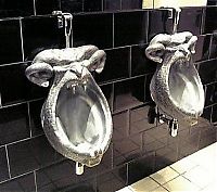 Architecture & Design: toilets in the world