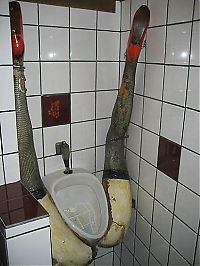 Architecture & Design: toilets in the world