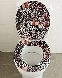 Architecture & Design: toilets in the world