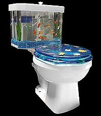 Architecture & Design: toilets in the world