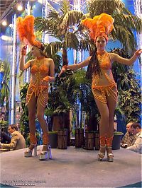 Architecture & Design: World Food 2009