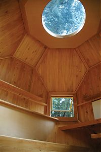 Architecture & Design: unusual house