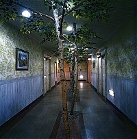 TopRq.com search results: Unusual designed hotels, Japan