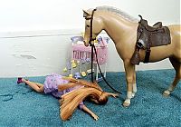 TopRq.com search results: Birth Barbie