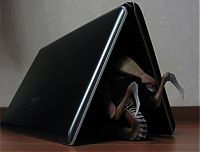 TopRq.com search results: Legendary Blizzard office