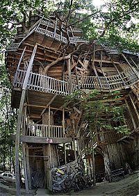 Architecture & Design: treehouse