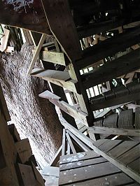 TopRq.com search results: treehouse