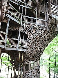 Architecture & Design: treehouse