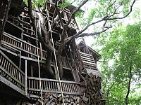 Architecture & Design: treehouse