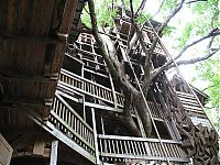 Architecture & Design: treehouse