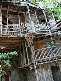 Architecture & Design: treehouse