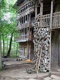 Architecture & Design: treehouse