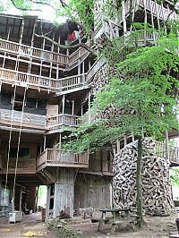 Architecture & Design: treehouse