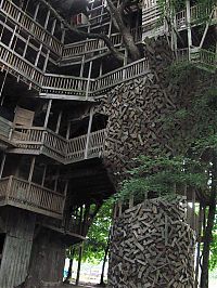 Architecture & Design: treehouse