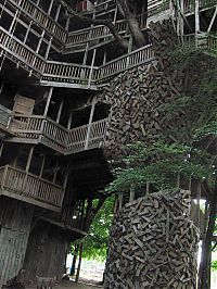 Architecture & Design: treehouse