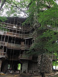 Architecture & Design: treehouse