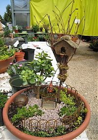 Architecture & Design: tiny garden