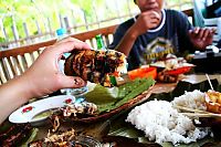 TopRq.com search results: bugs food