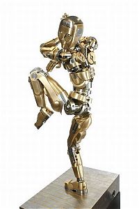 Architecture & Design: Iron Man, more than 500 parts, invented by Mark Ho