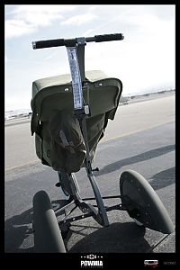 TopRq.com search results: Roddler, stroller for $2500