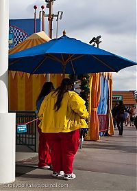 TopRq.com search results: Park Universal Studios in Los Angeles, United States