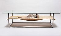 TopRq.com search results: Transparent table for your pet