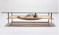 Architecture & Design: Transparent table for your pet