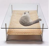 Architecture & Design: Transparent table for your pet