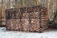 Architecture & Design: house of logs