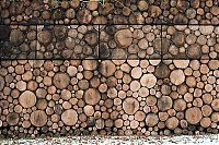 Architecture & Design: house of logs