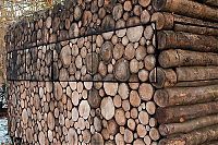 TopRq.com search results: house of logs