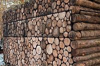 Architecture & Design: house of logs