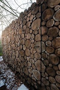 Architecture & Design: house of logs