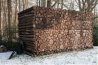 Architecture & Design: house of logs