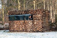 Architecture & Design: house of logs